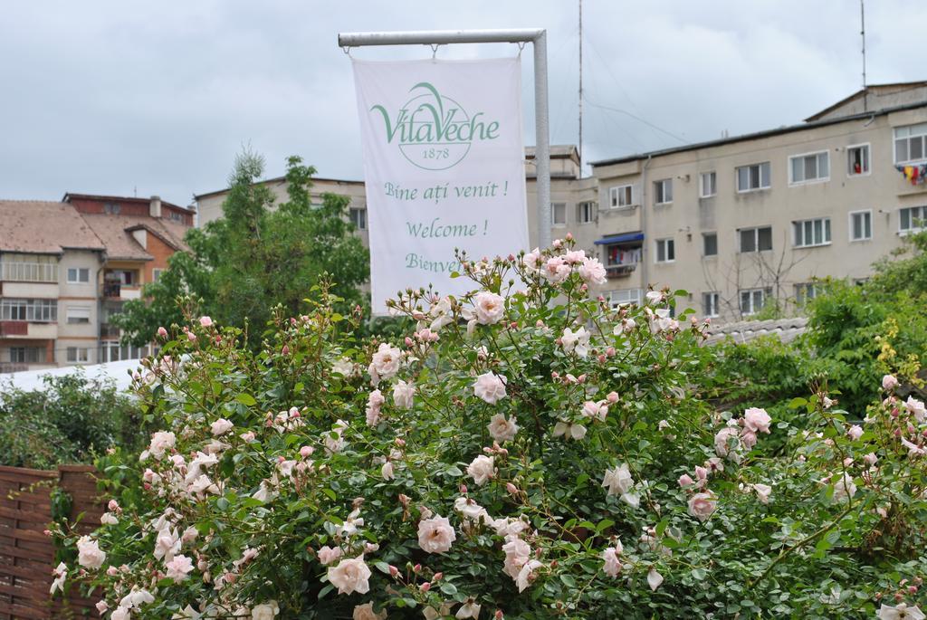 Vila Veche Haţeg Zewnętrze zdjęcie