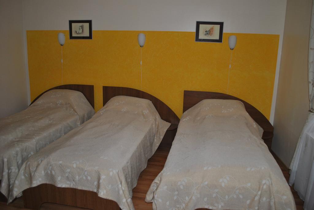 Vila Veche Haţeg Zewnętrze zdjęcie